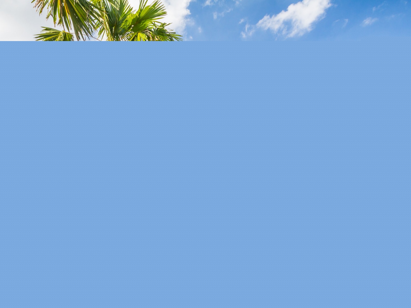 Villa Du Bah (3 Bedrooms) - Photo 3