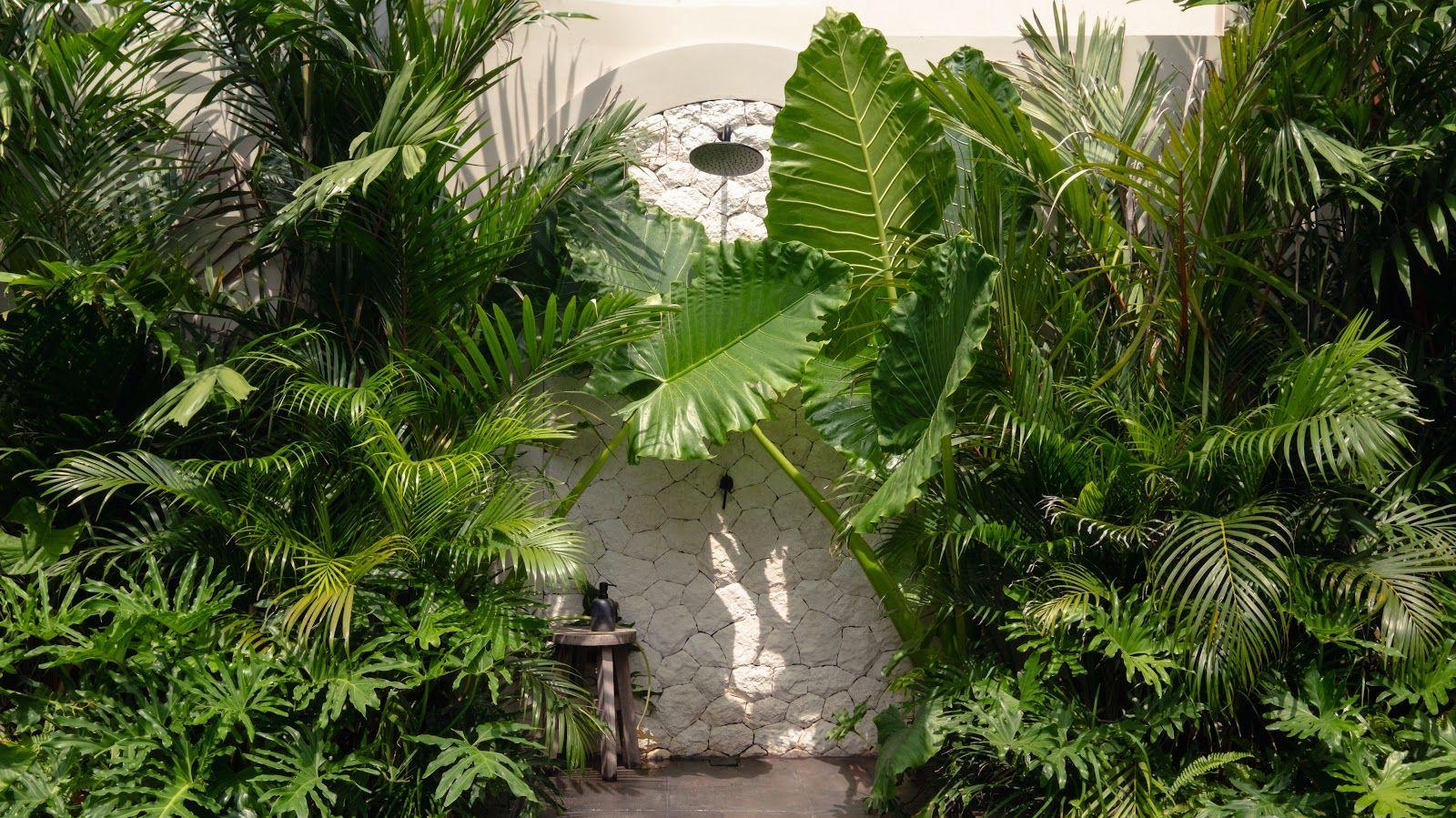 Villa Jaxe - Photo 2