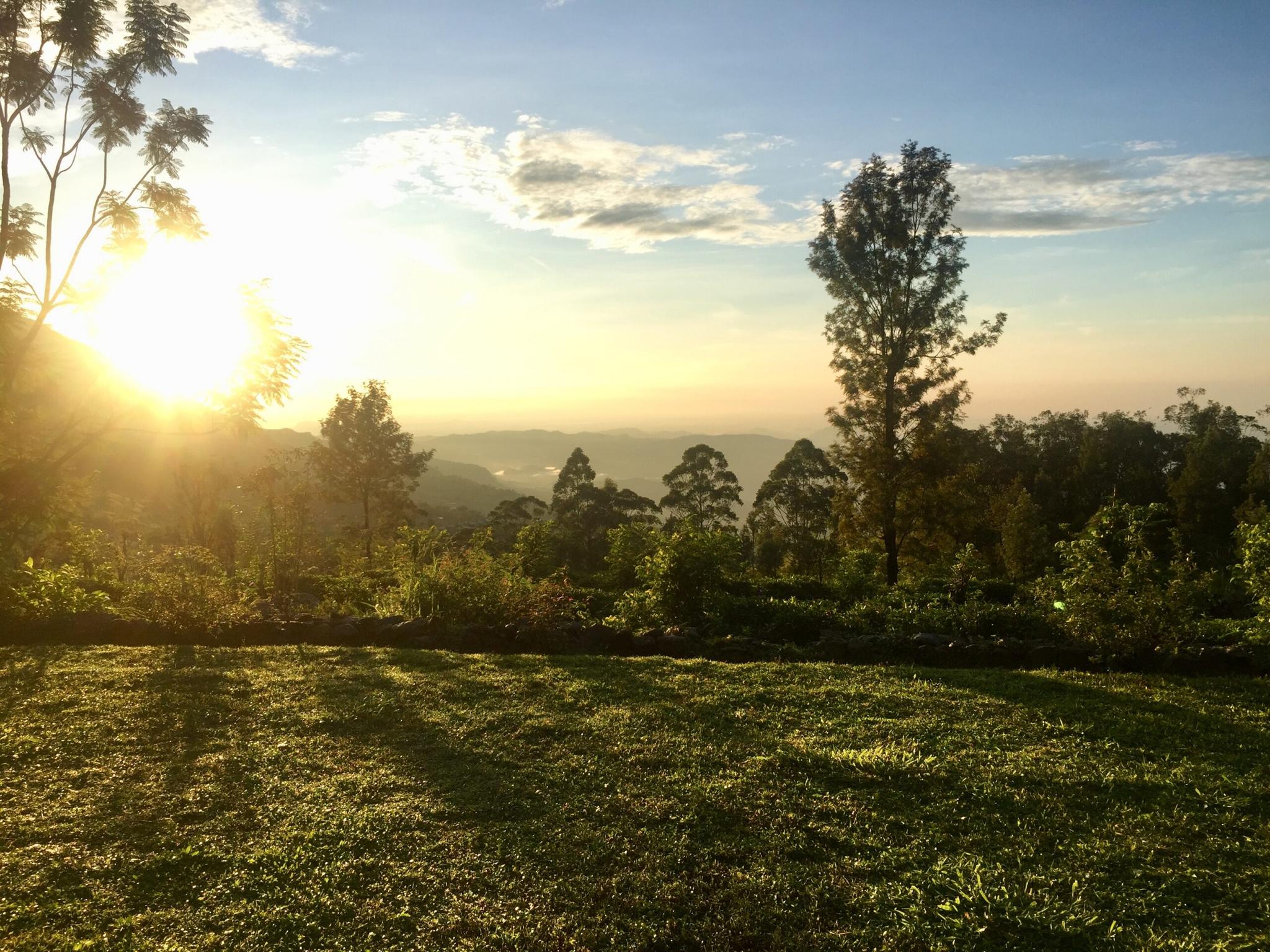 Haldummulla Estate - Photo 3