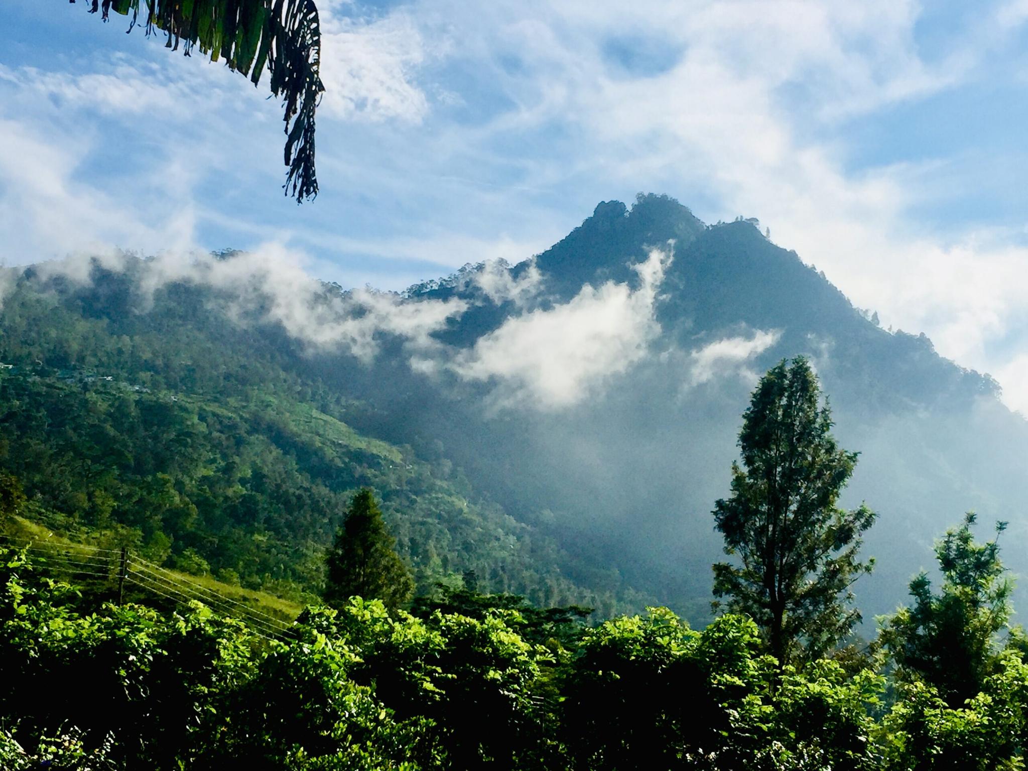 Haldummulla Estate - Photo 4