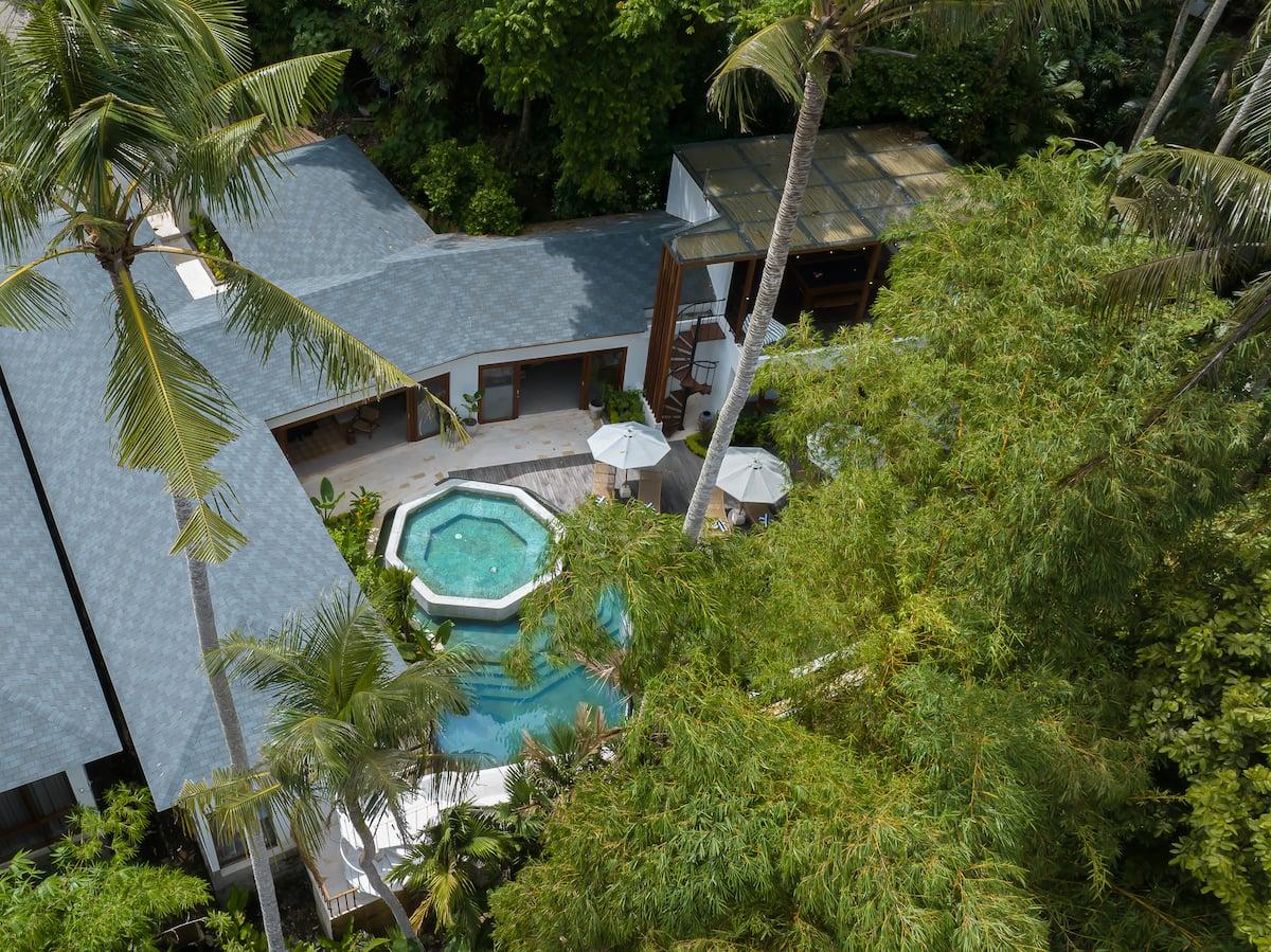 Sweet Birds - Photo 5