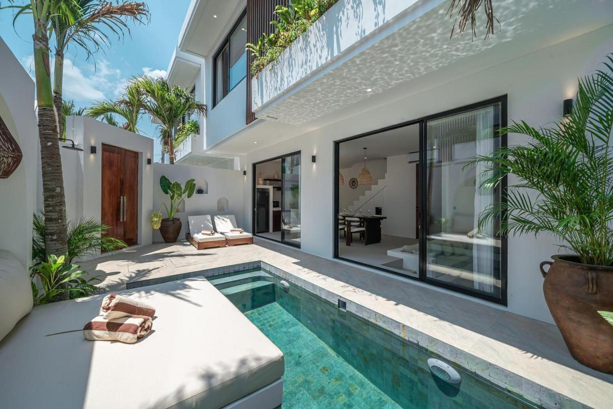 Nova Oasis 4