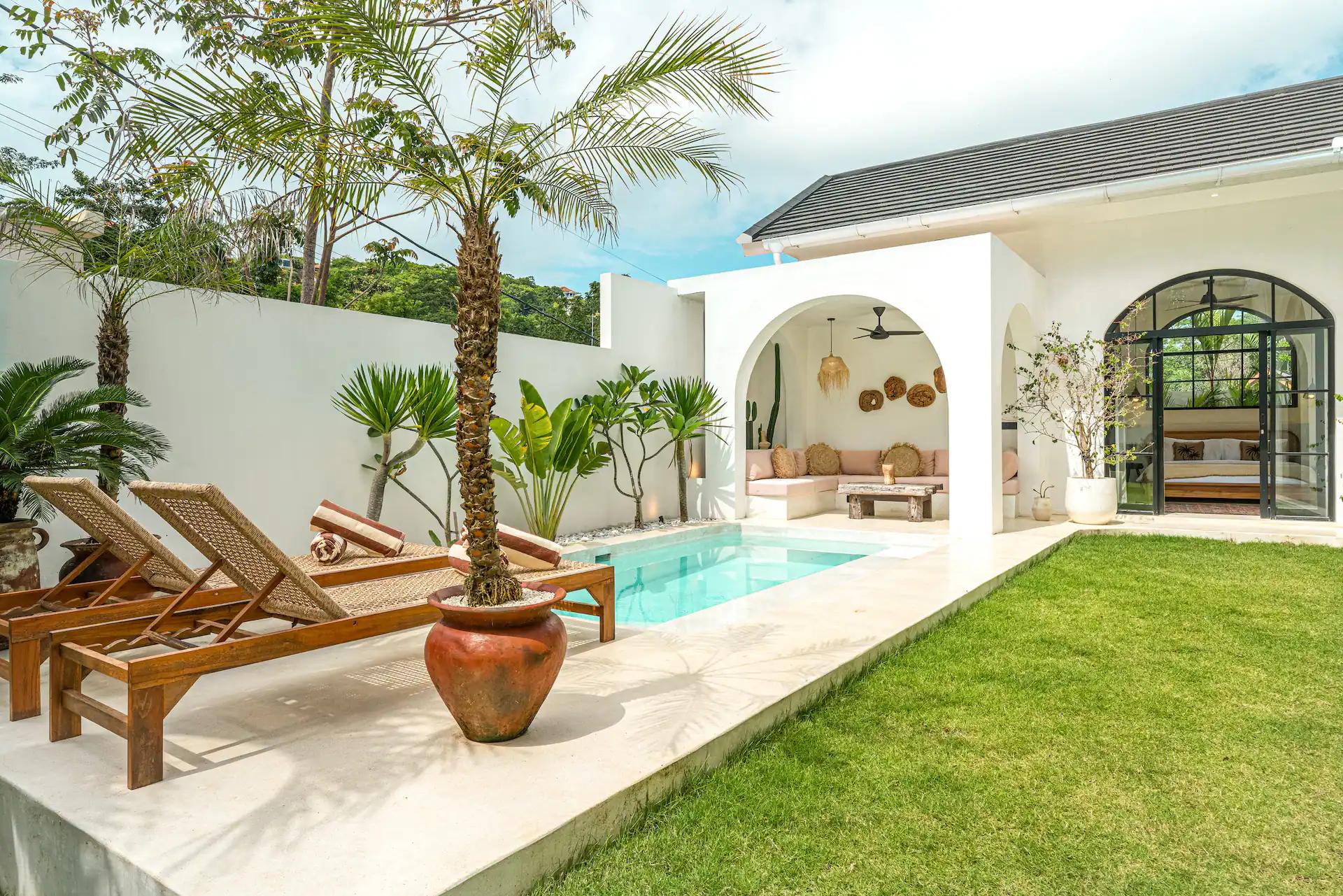 The courtyard pool at the macan Bingin, lawn and timber loungers beneath a potted palm