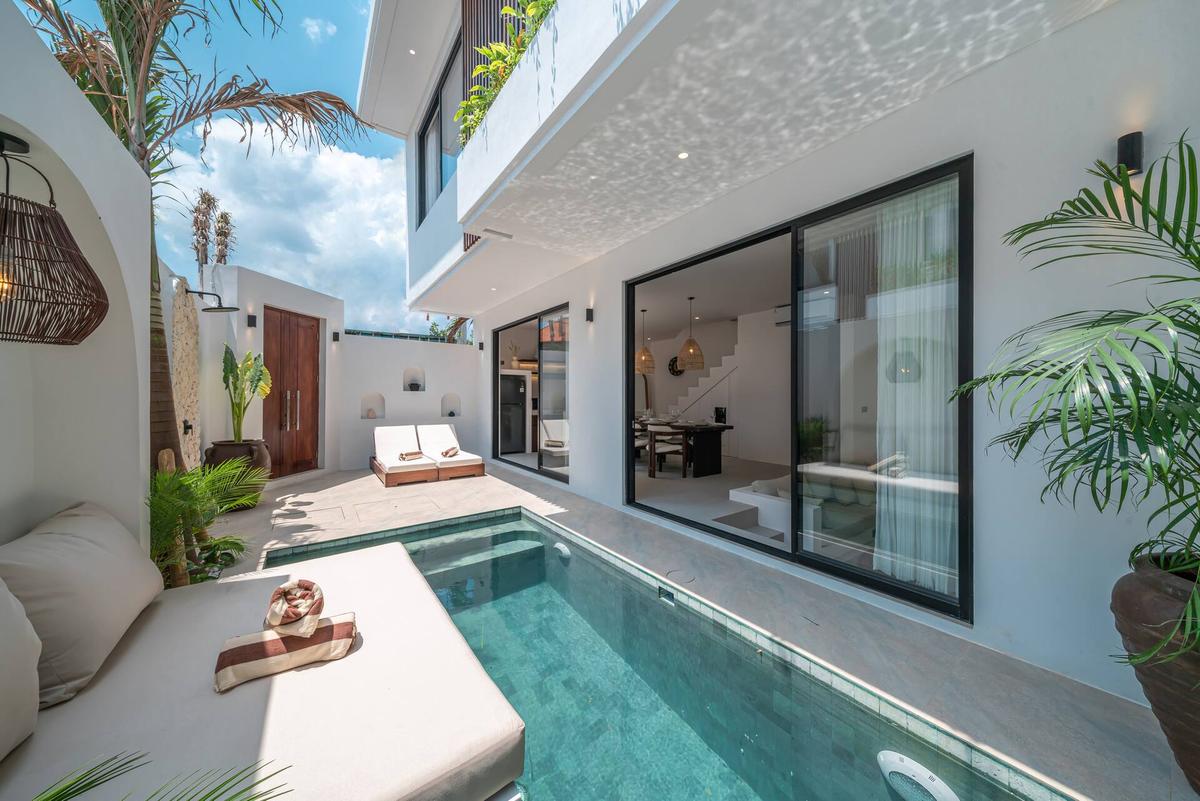 Nova Oasis 1