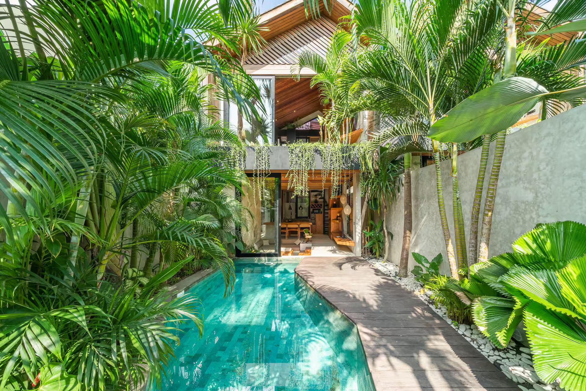 The slim green pool at Villa Solani running the depth of the lot between palms and a timber deck
