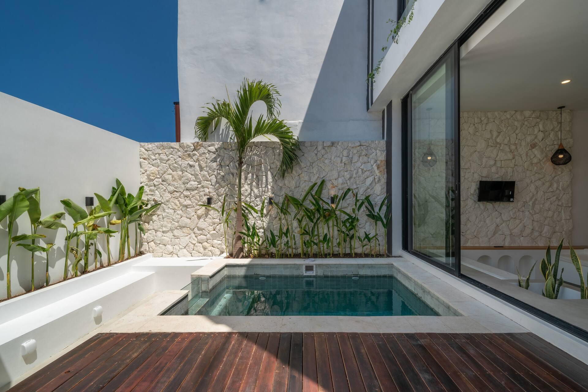 Hardwood pool deck and plunge pool at Villa Merine, with banana plants against a white stone wall