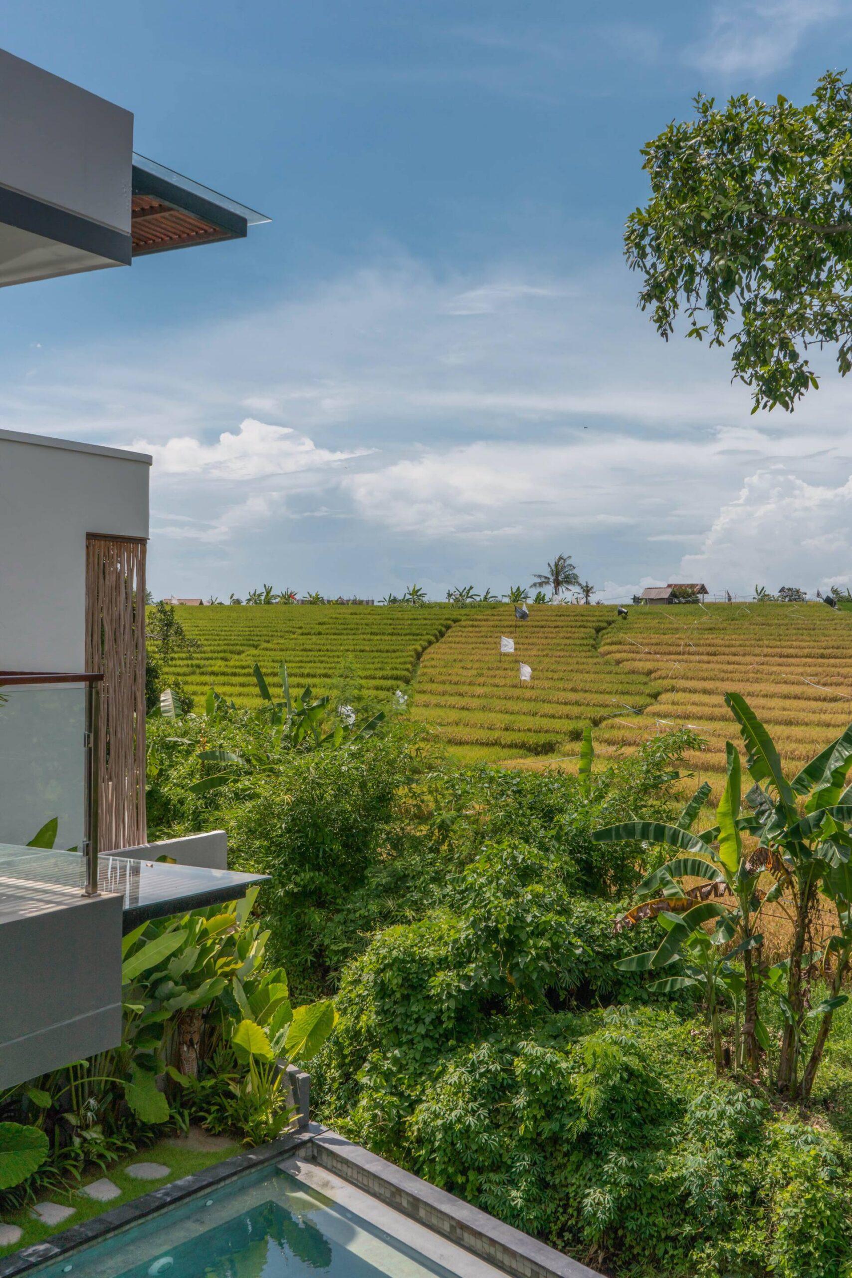 Rice-field panorama from the upper balcony at Villa Luna, the pool directly below