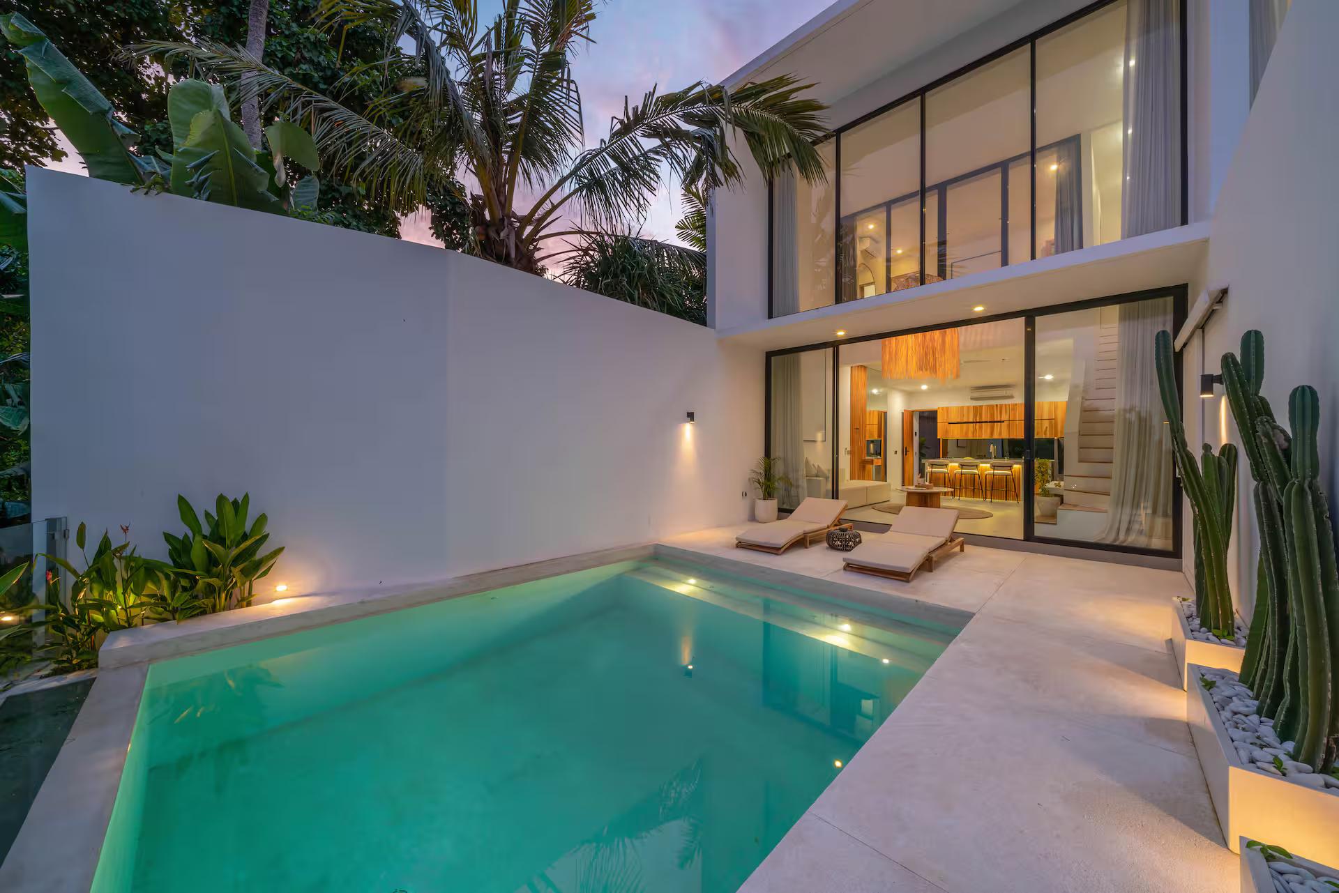 Dusk in the walled courtyard, uplit cacti and the lit glass facade above the pool