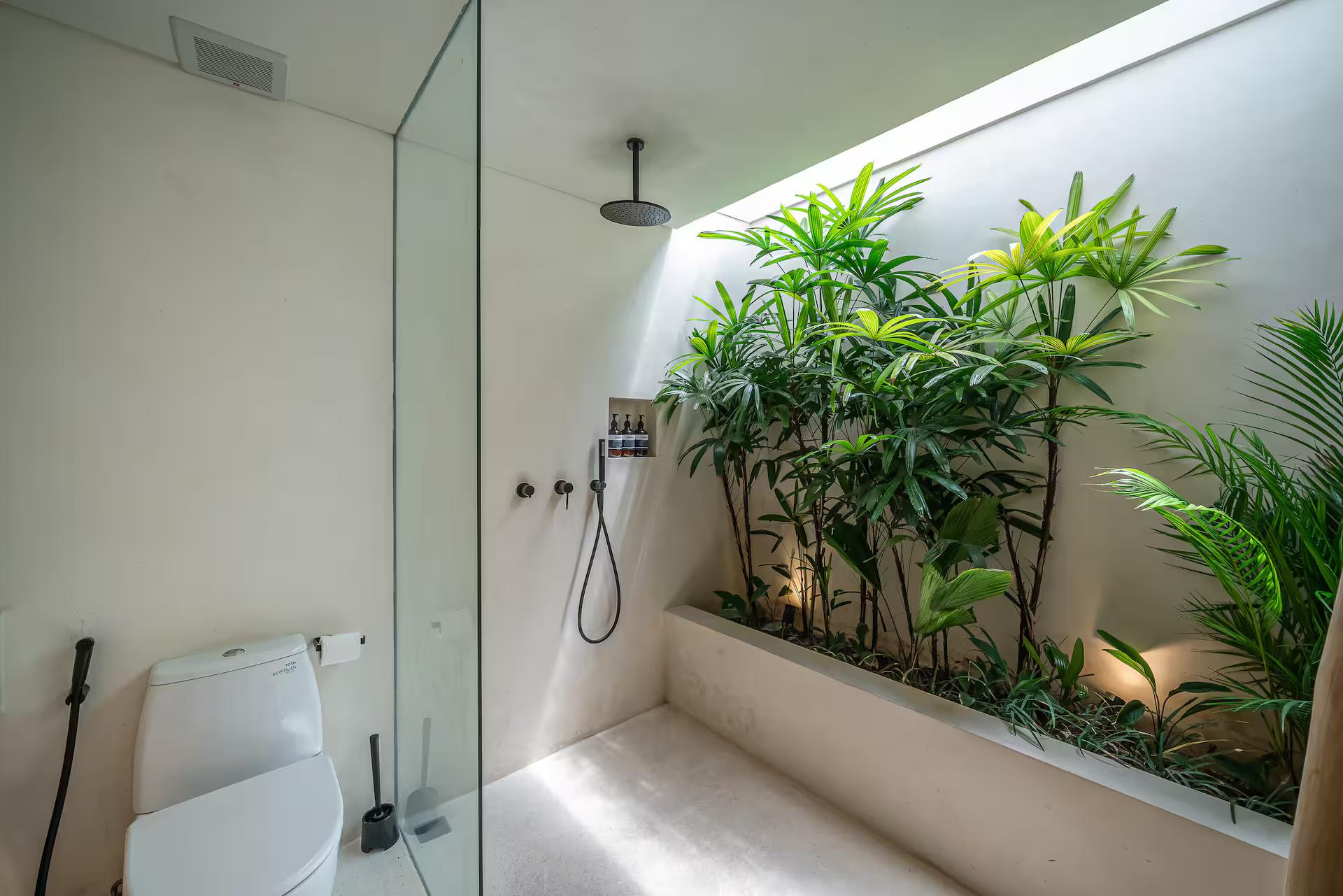 Glass-walled bathroom with a black rain shower opening onto a planted light-well of ferns and palms