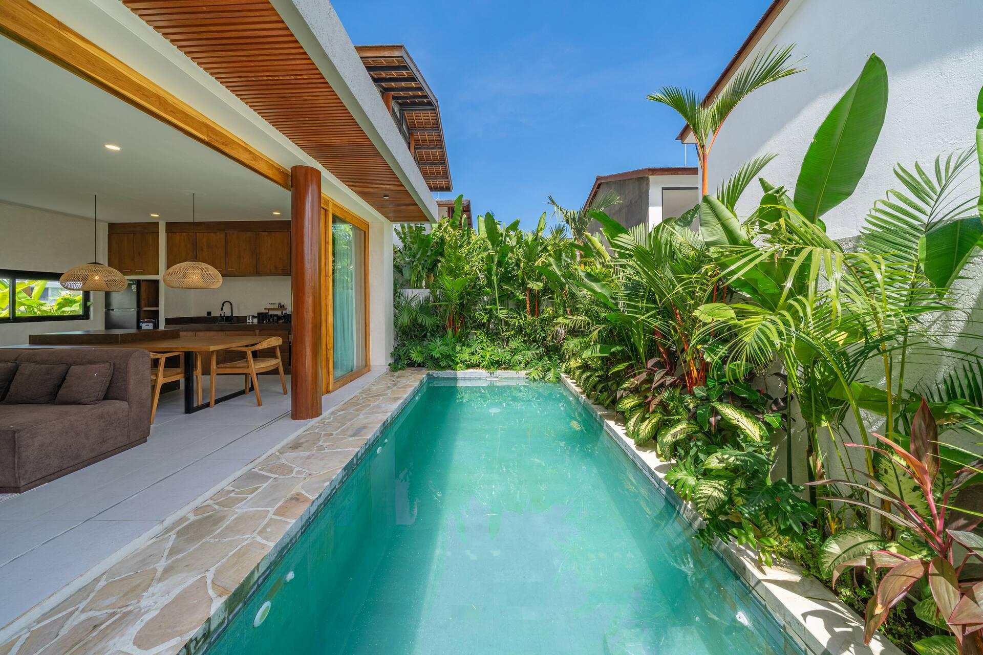The lap pool seen the length of the house, heliconia and bird-of-paradise crowding the far wall