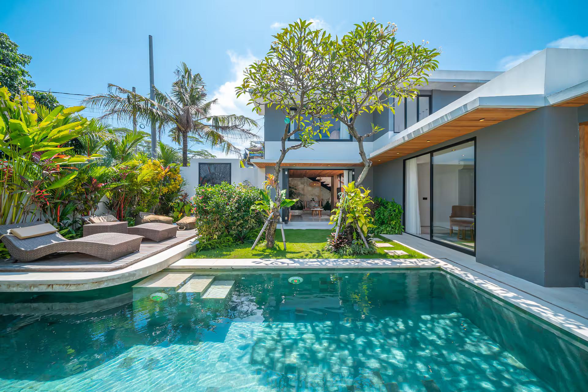 Pool and lawn at Villa Arunika, frangipani leaning over the loungers at the far end