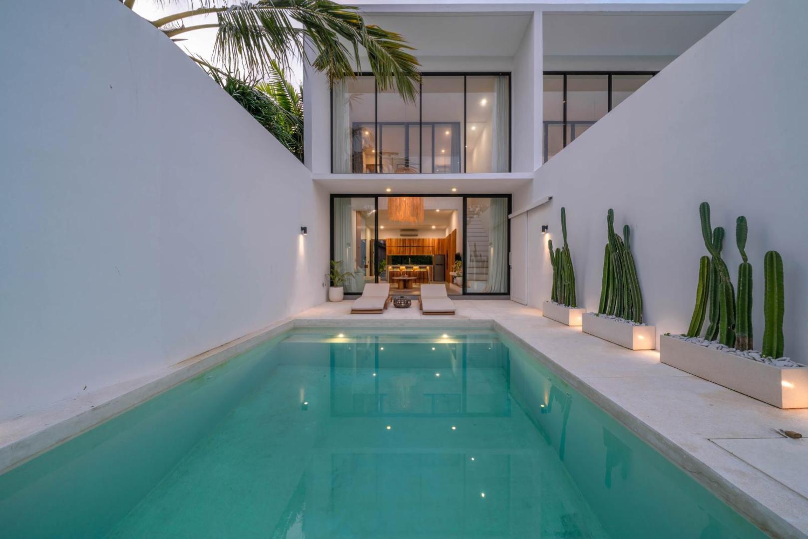 The pool at Villa Finity A seen end on, cacti in white troughs down the right-hand wall