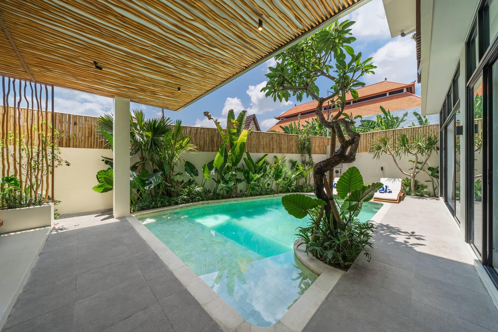 Frangipani tree growing from a planted island at the edge of Villa Ba'an's pool