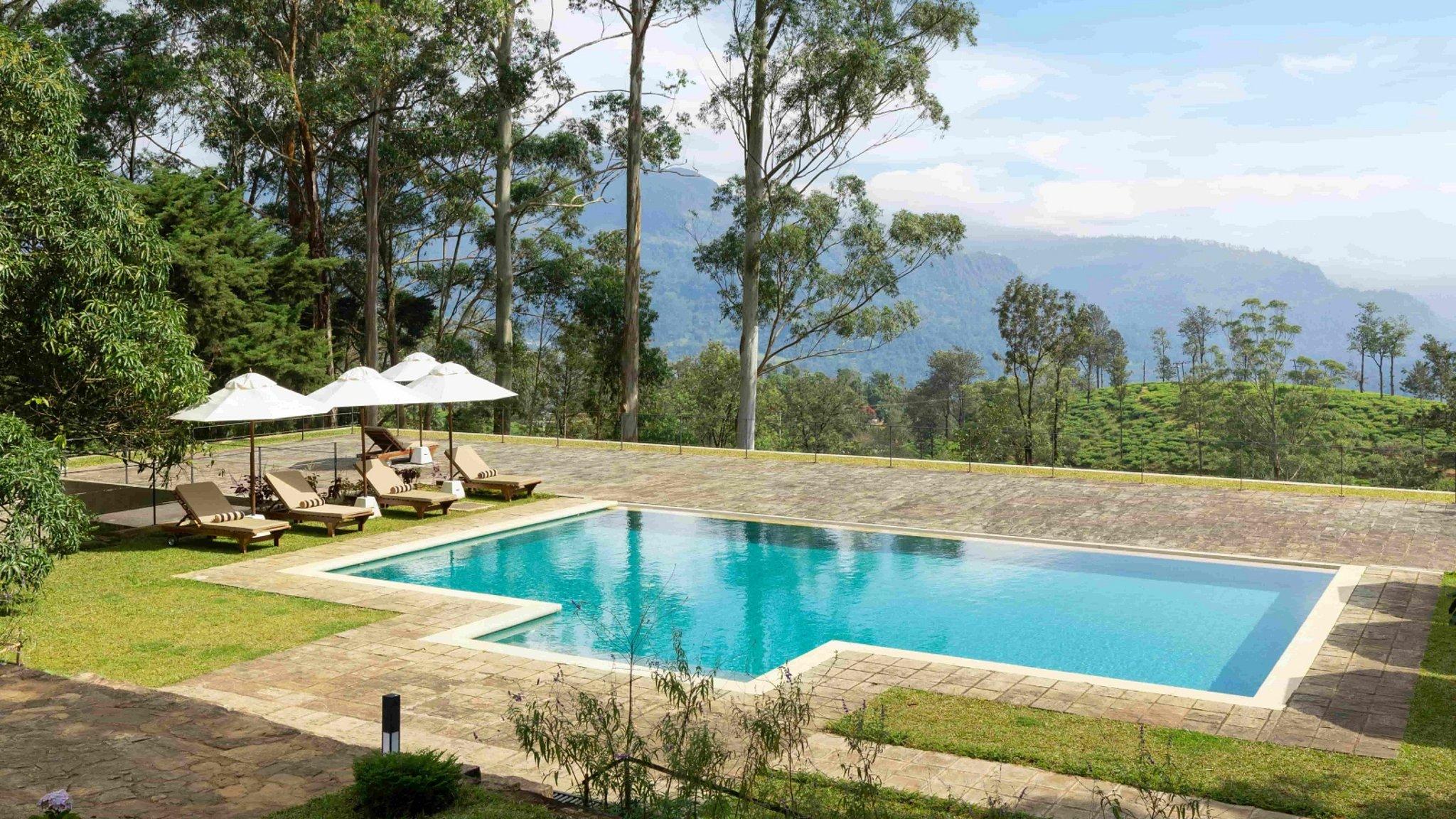 The Lavender House - Photo 1
