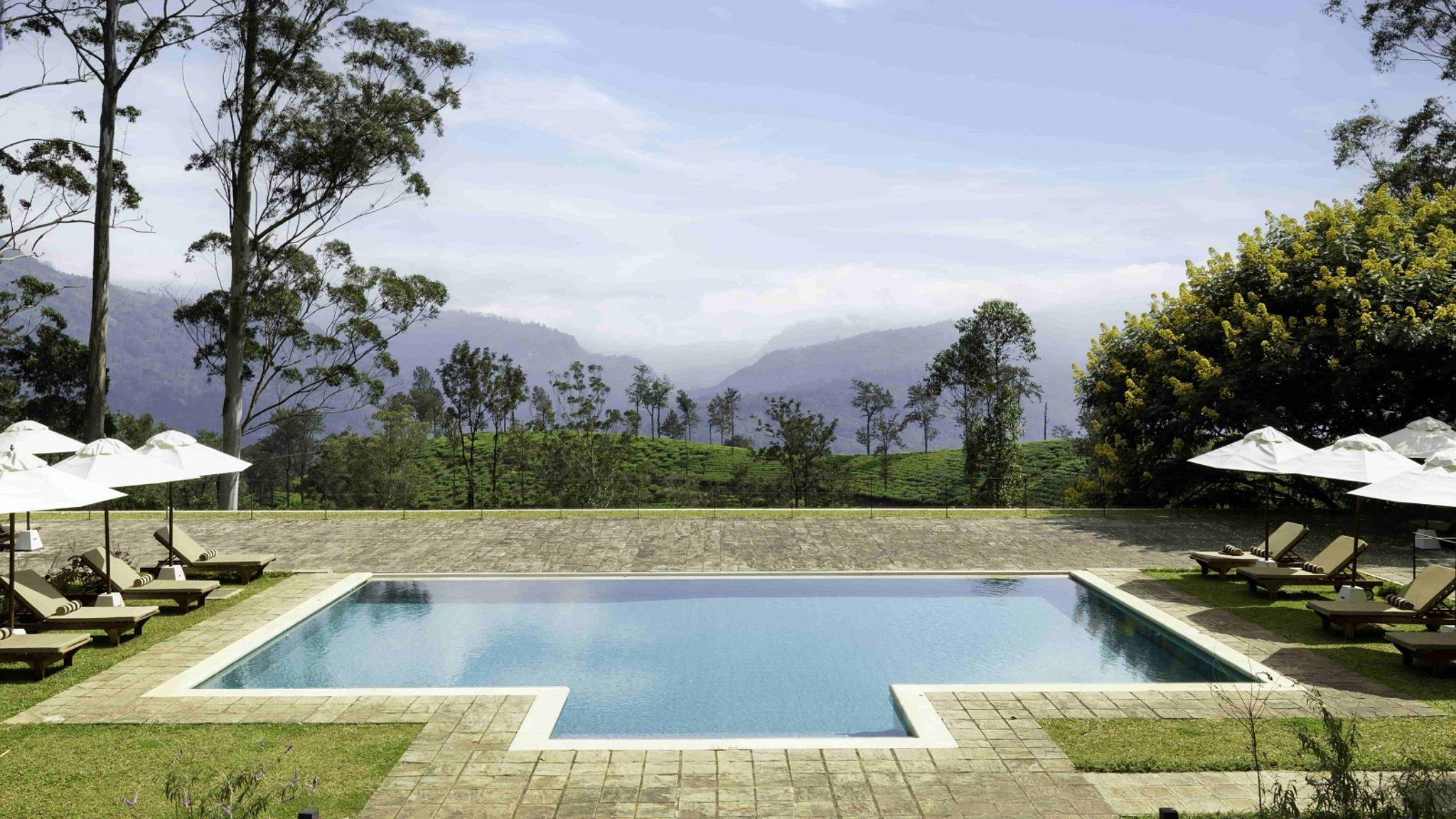 The Lavender House - Photo 4