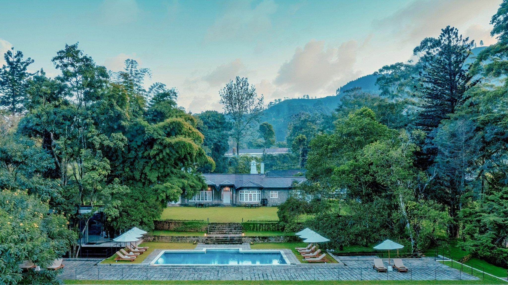 The Lavender House - Photo 7