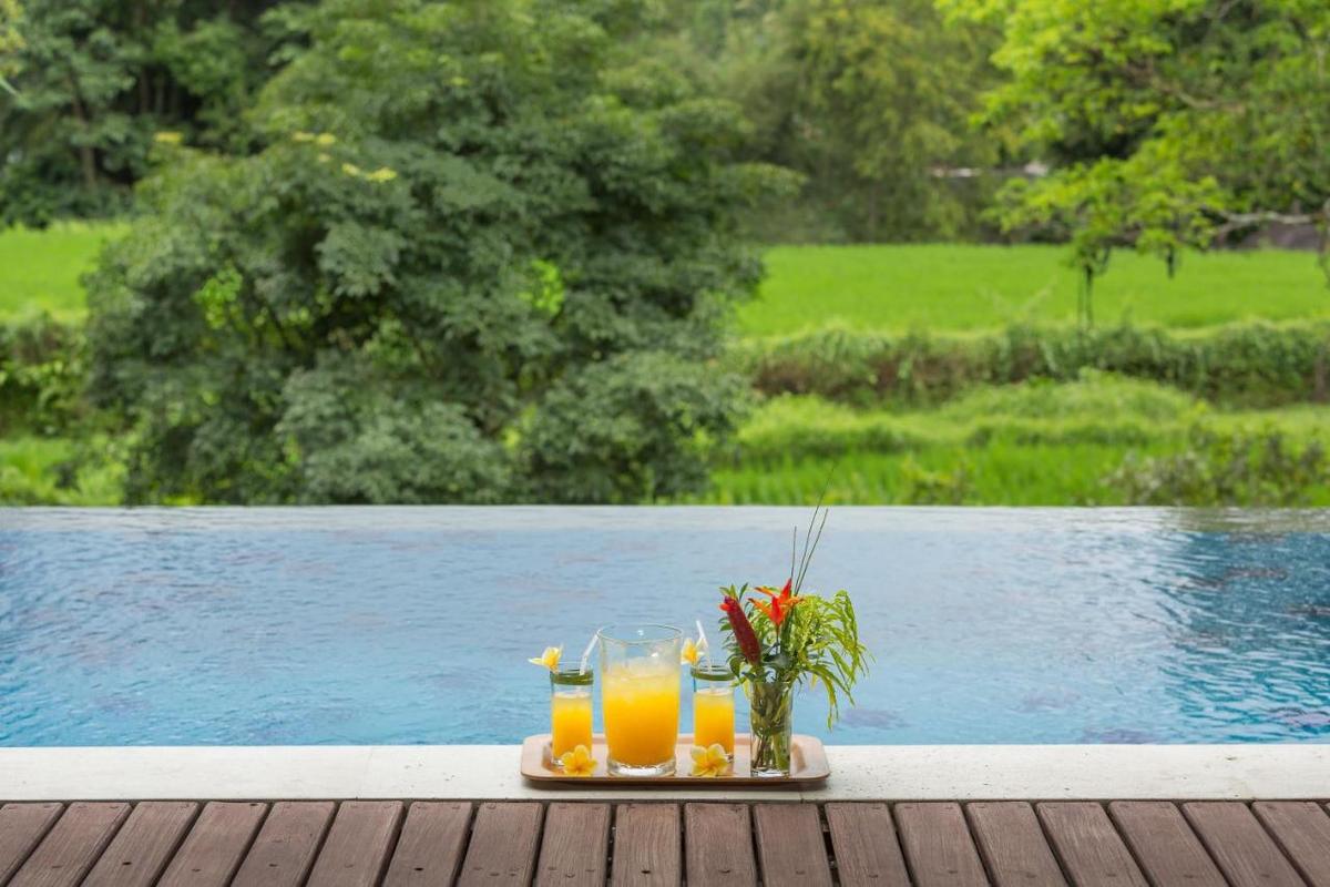 Villa Atap Padi
