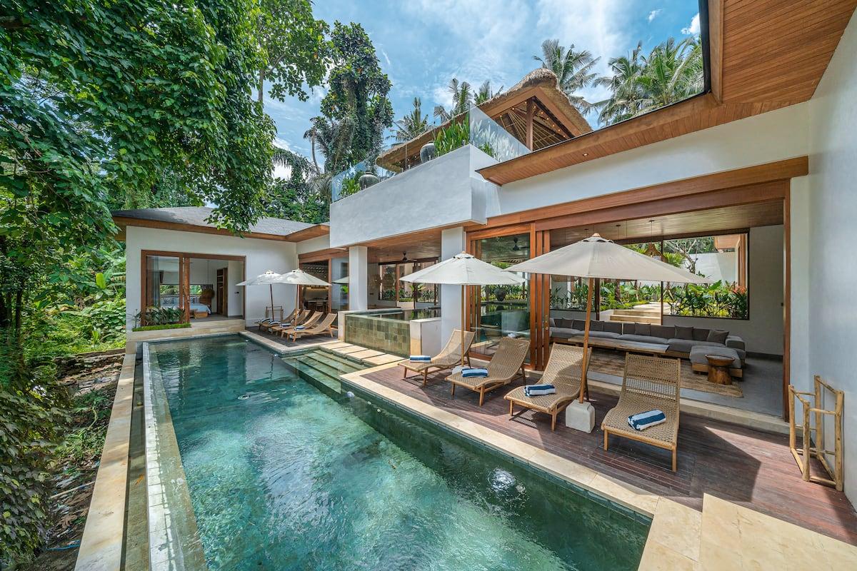 Chilling Monkeys - Photo 1