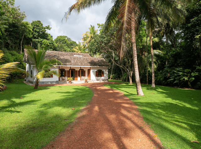 Best Time to Visit Sri Lanka — A Month-by-Month Guide