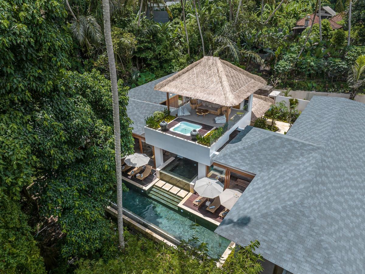 Chilling Monkeys - Photo 5