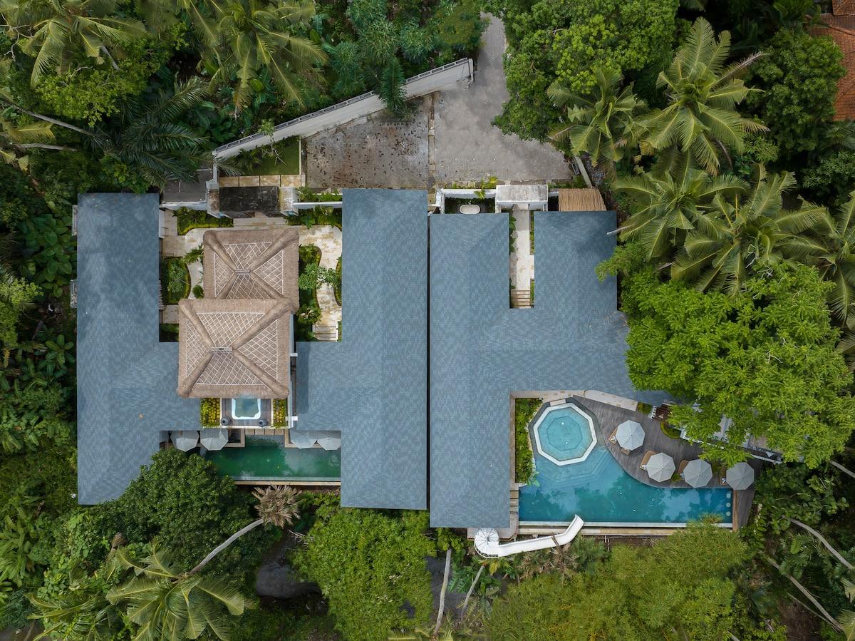 Jungle Oasis - Photo 5