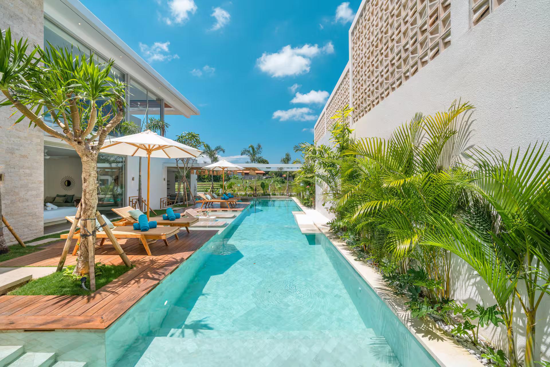 The eighteen-metre pool at Villa Vola, palms and a breeze-block screen along one side