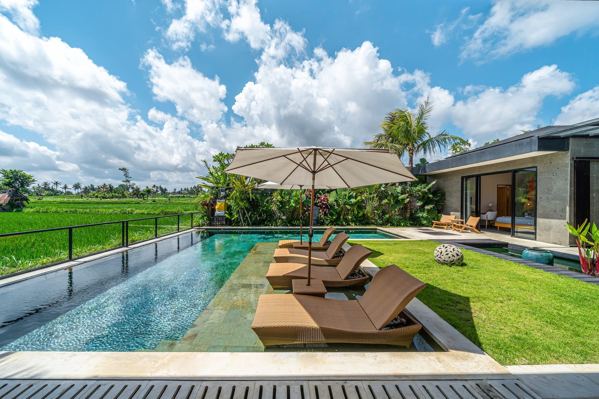Rattan sun loungers on the lawn beside the pool, with open Ubud rice terraces beyond