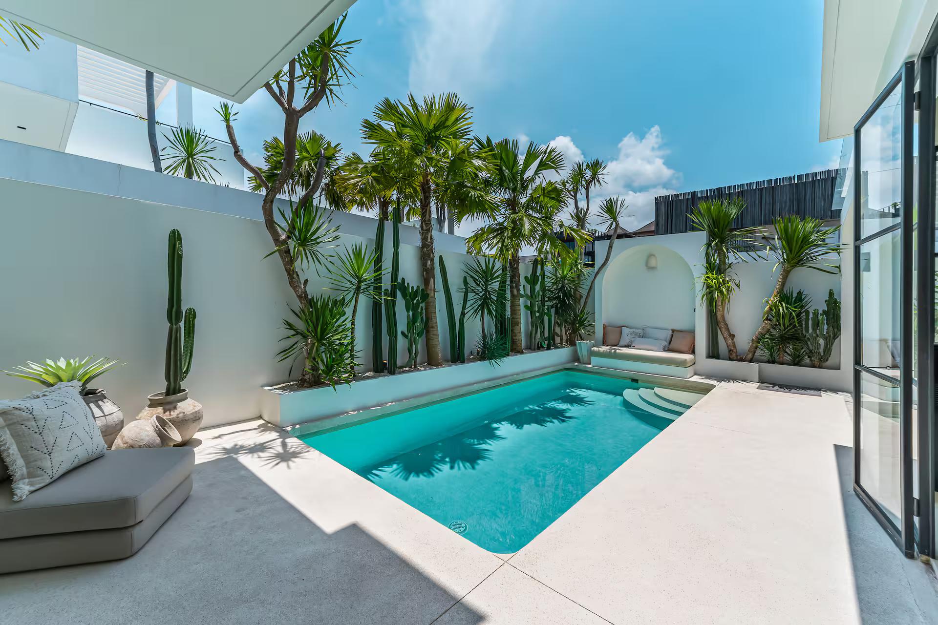 Pool at Sanctum House framed by tall cactus and columnar palms in a walled courtyard