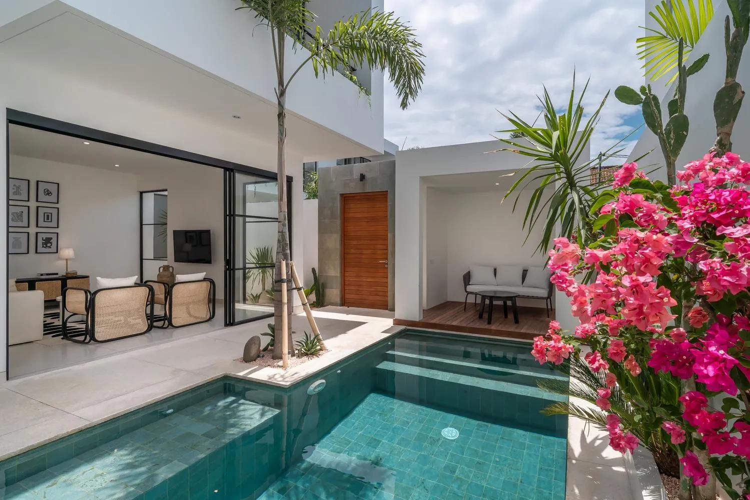 Bougainvillea over the wall above the pool, with a timber deck along the far end