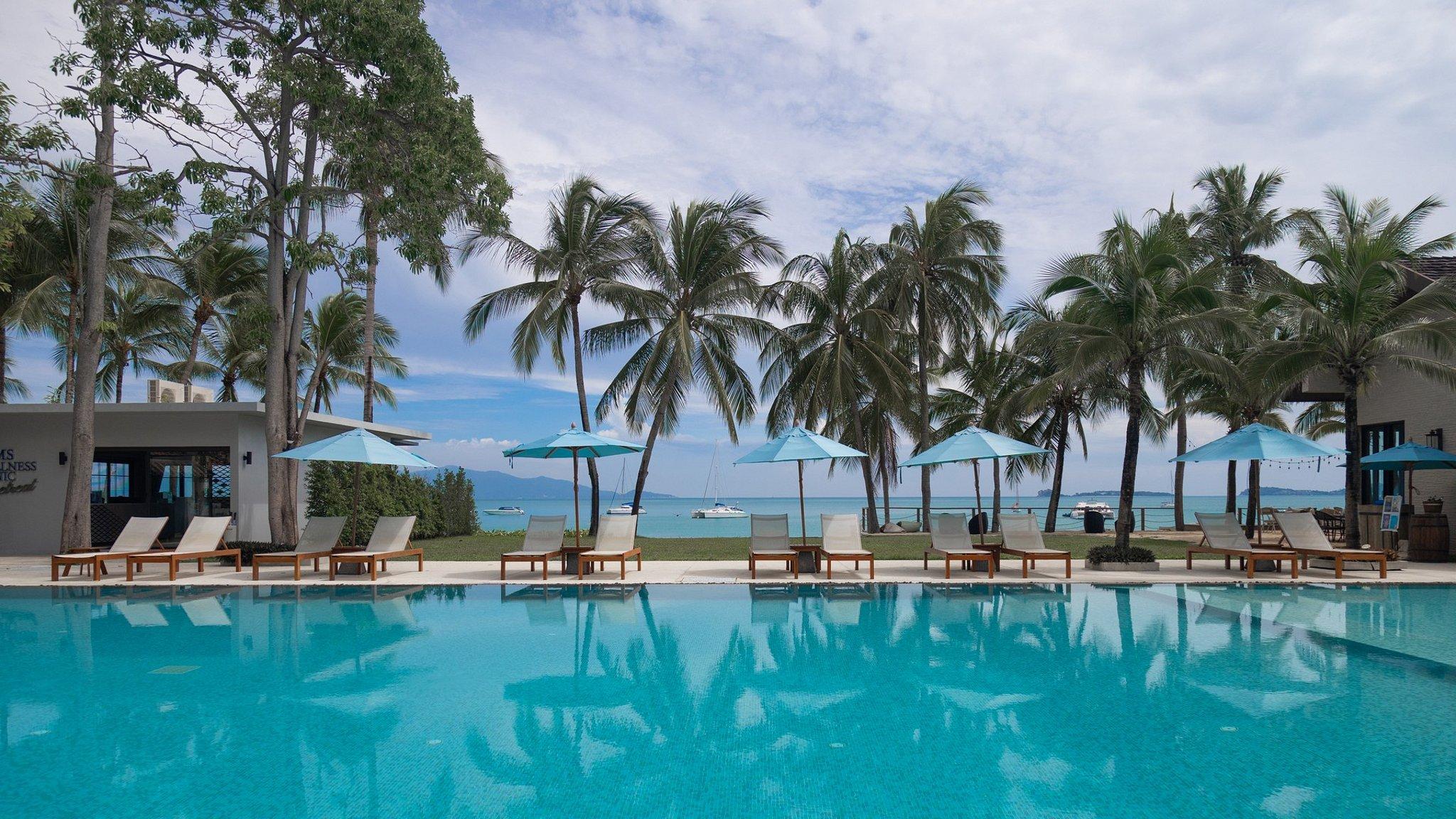 Celes Tropical Suite - Photo 4