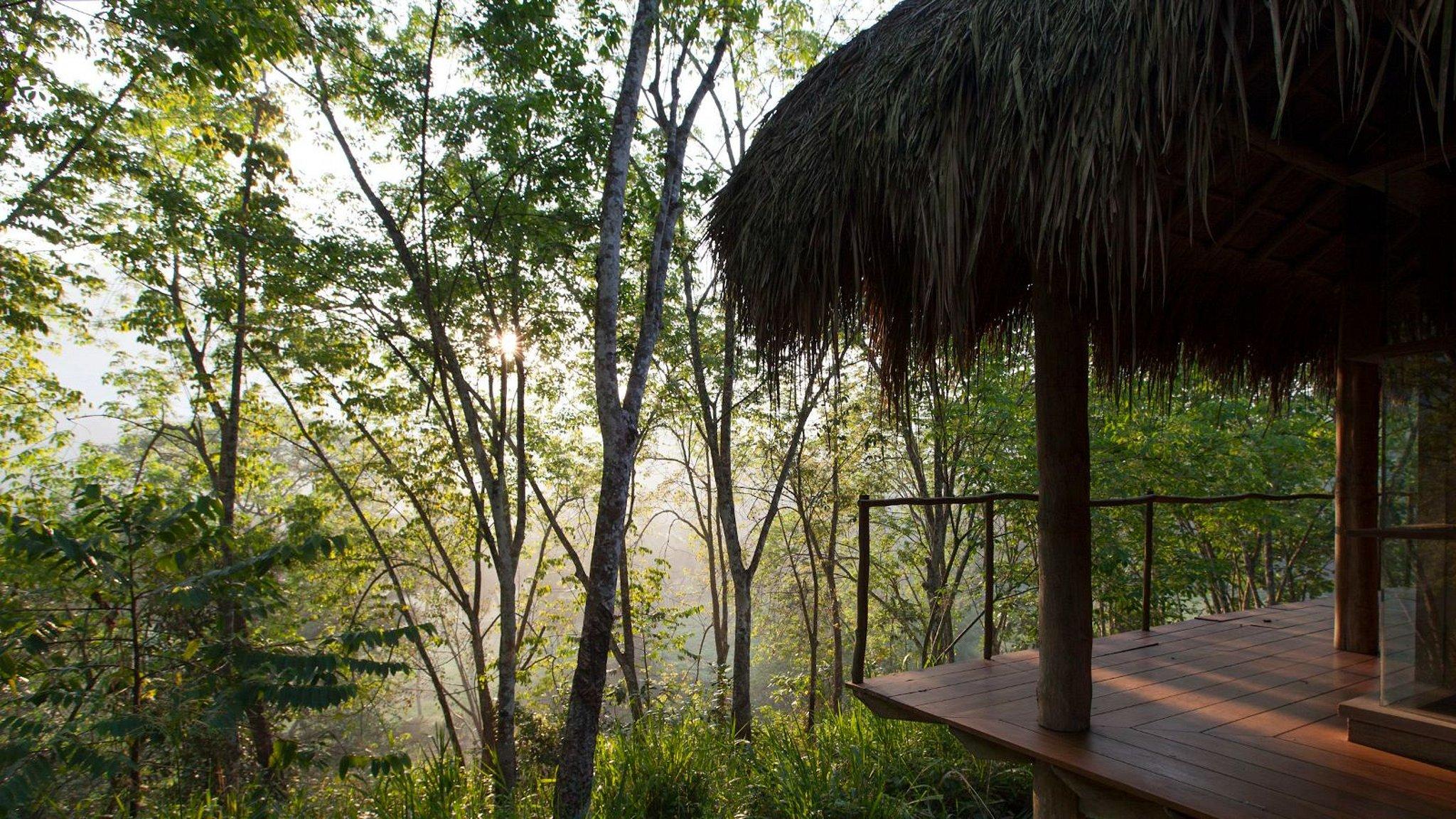 Guava House - Photo 7