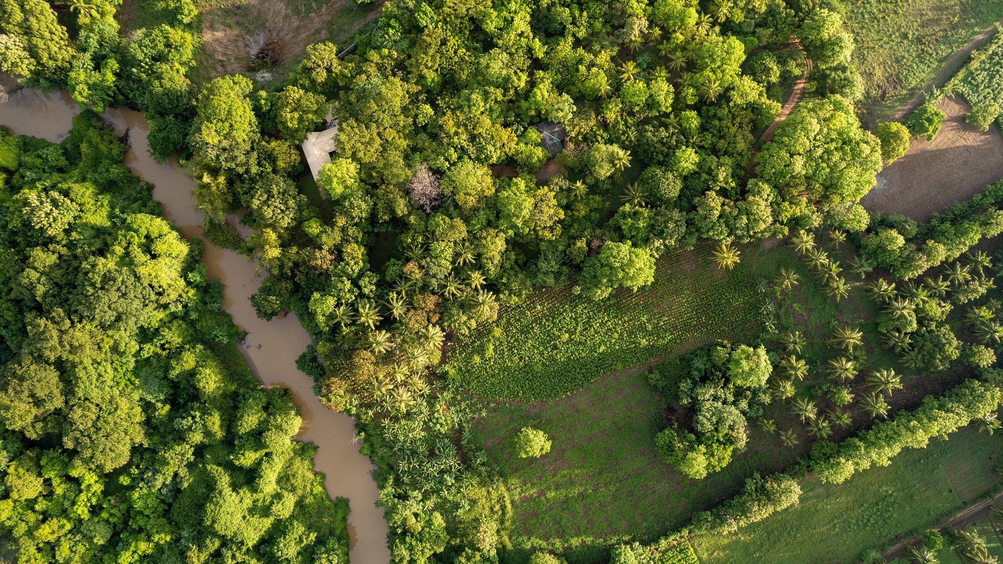 River House Dambulla - Photo 7