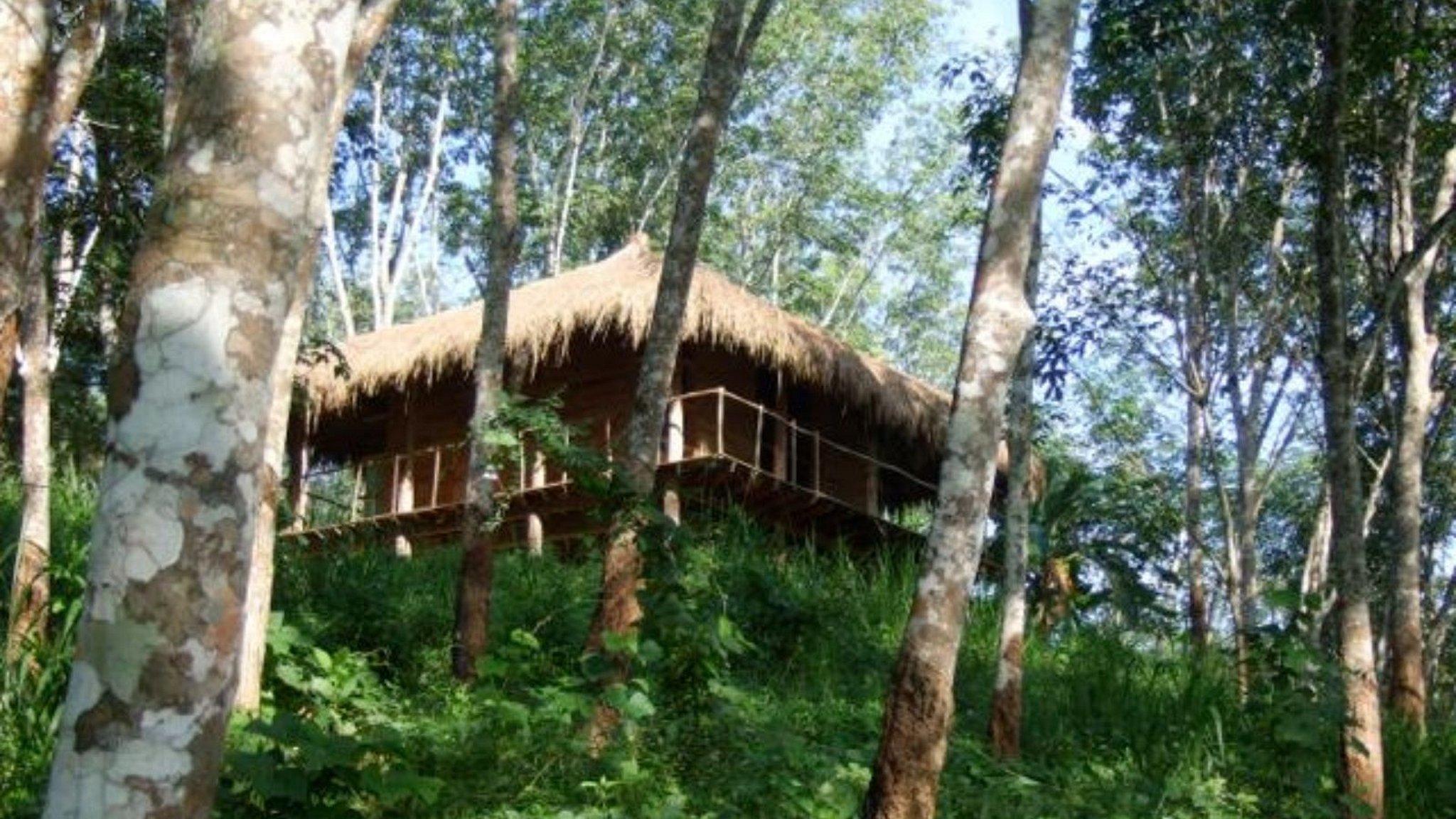 Guava House - Photo 8