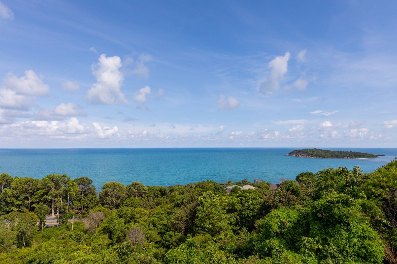 Jasmine Waterslide - Image 4