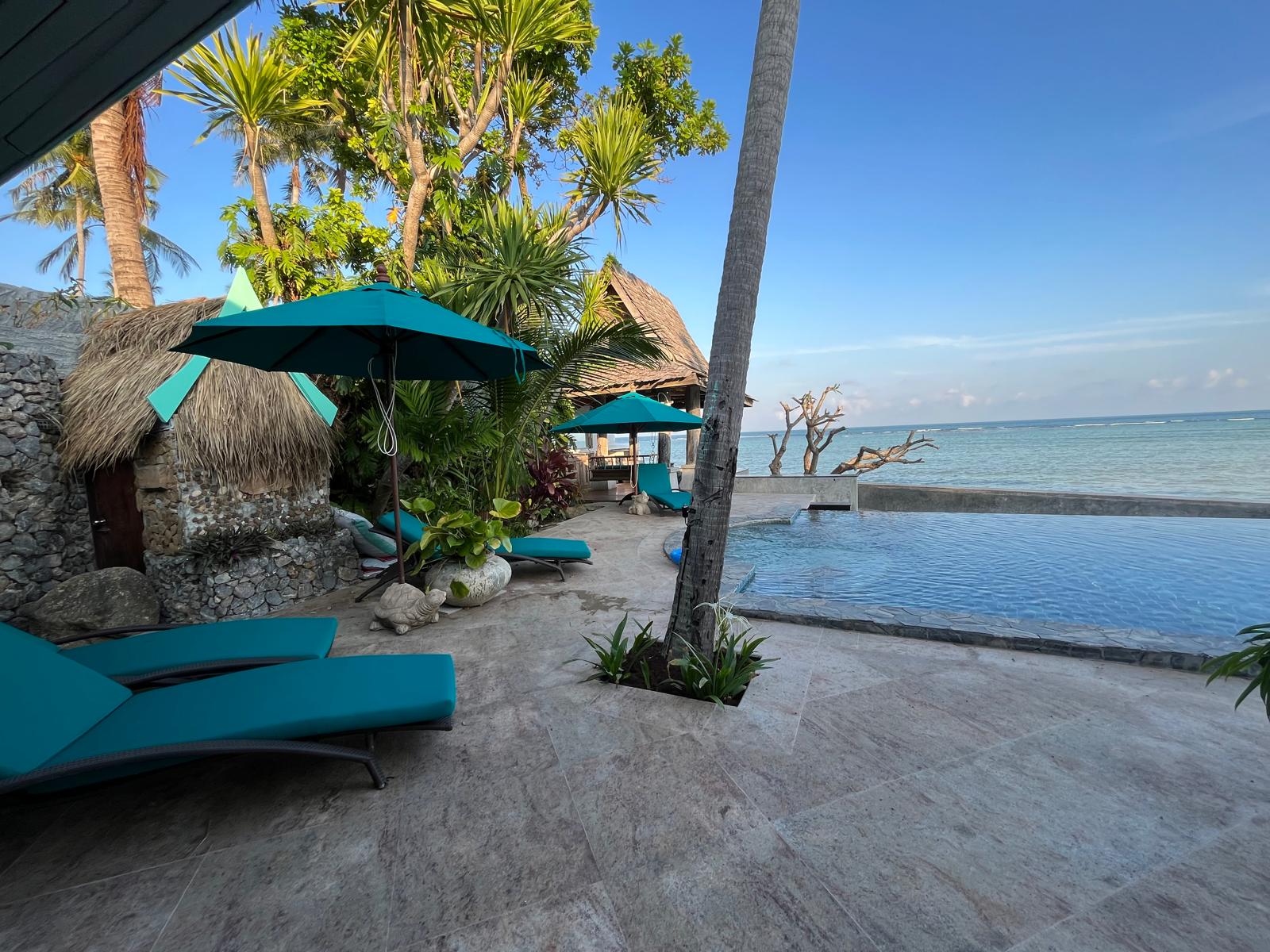 Sunrise Golden - Image 2