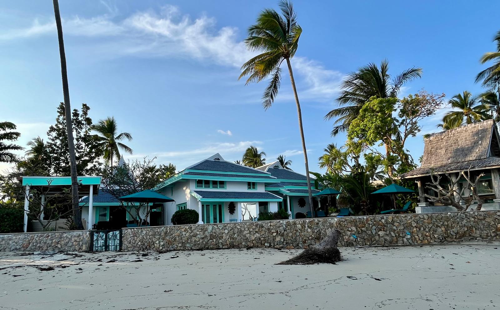 Sunrise Golden - Image 5