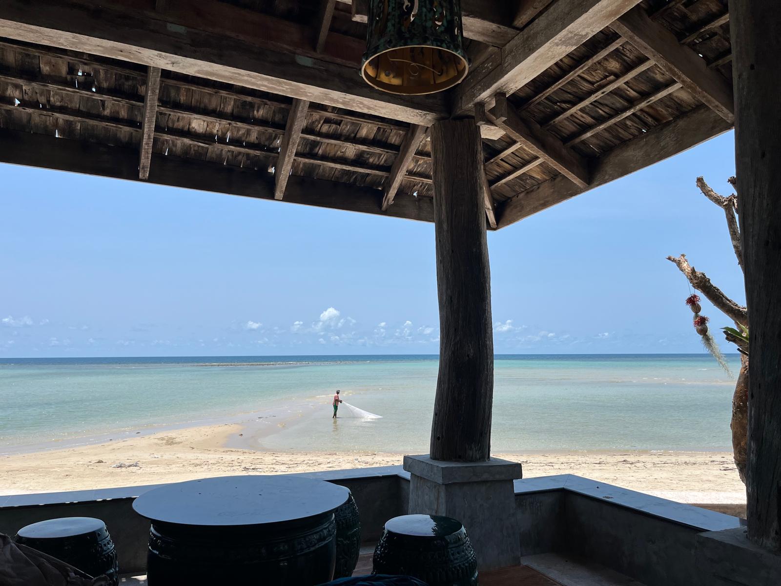 Sunrise Golden - Image 13