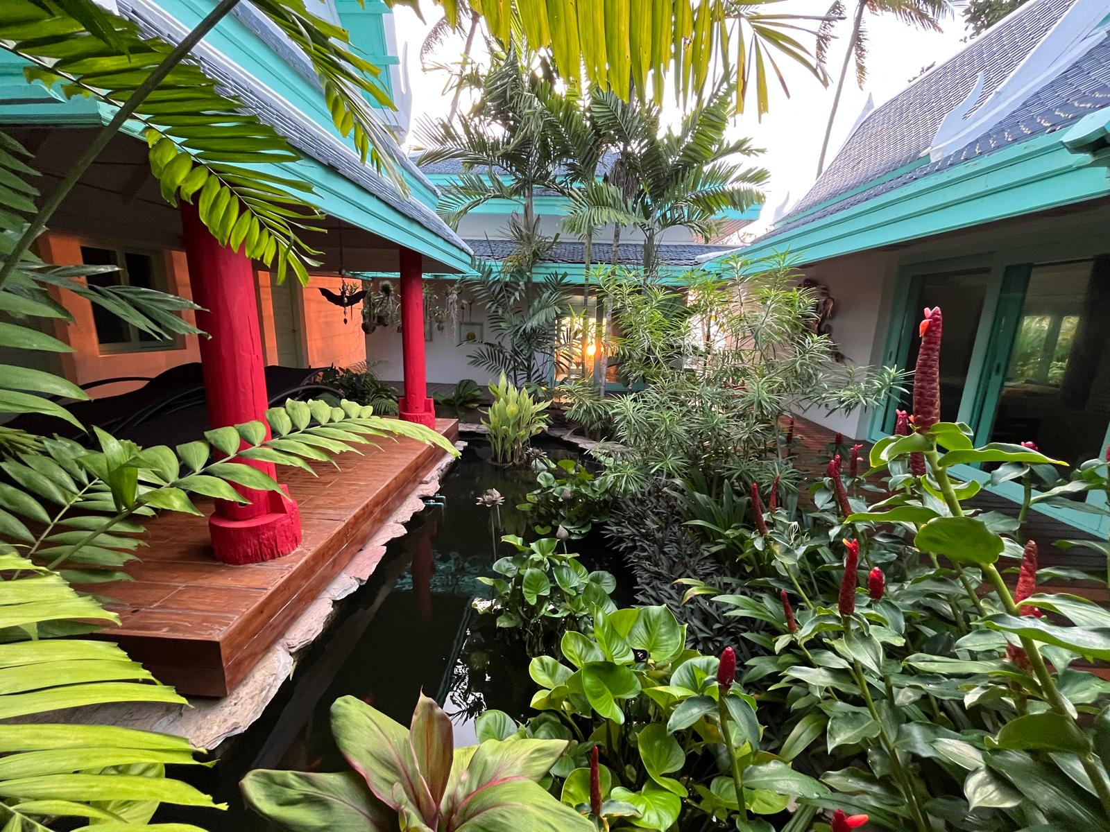 Sunrise Golden - Image 16