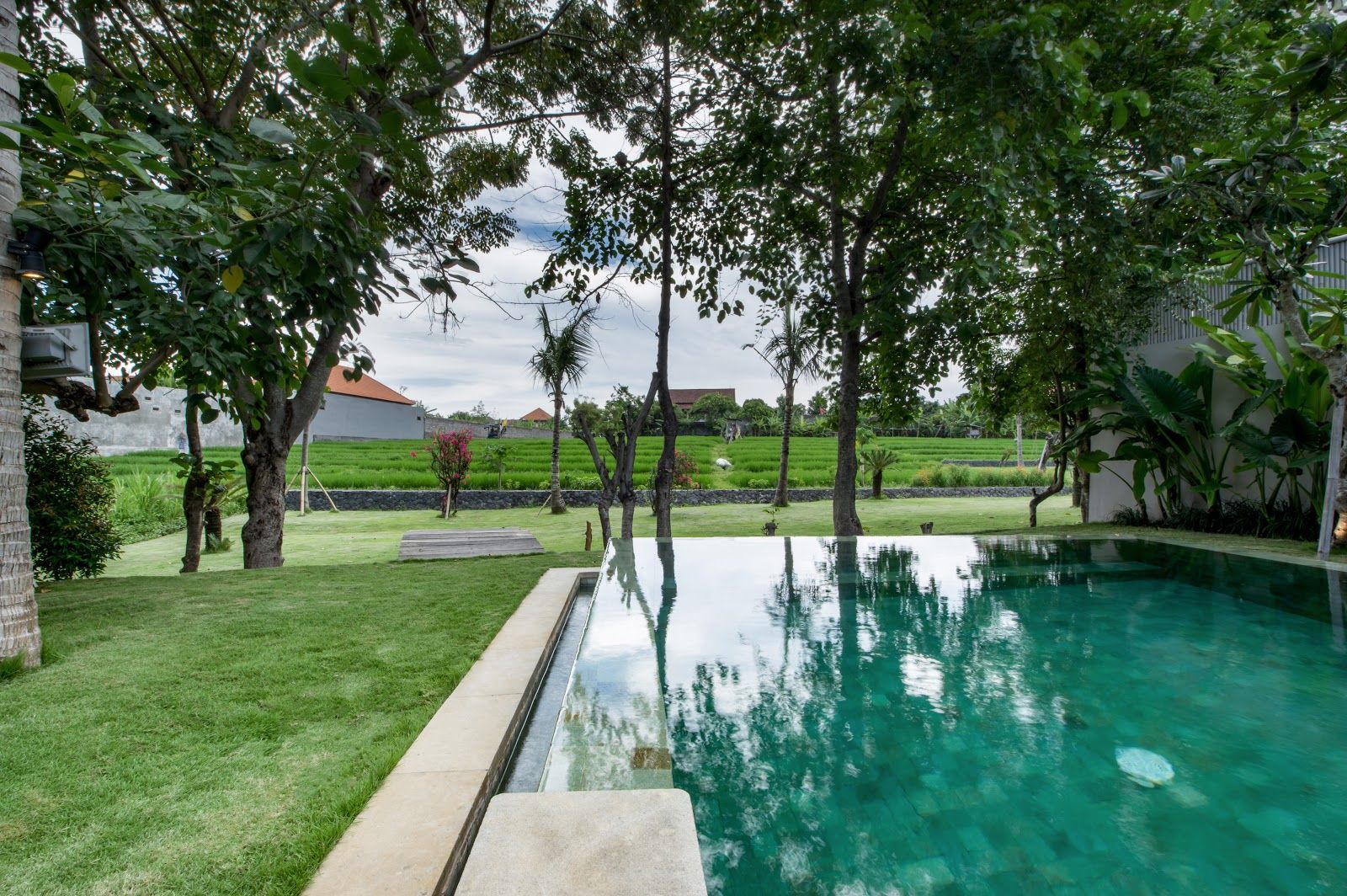 Alea Estate - Image 36