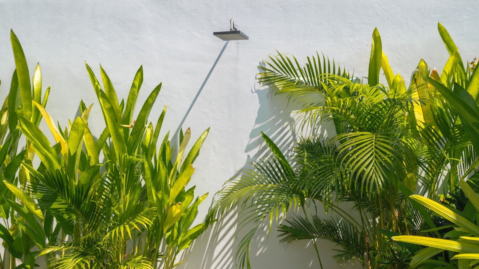 Villa Lange 3 - Image 26