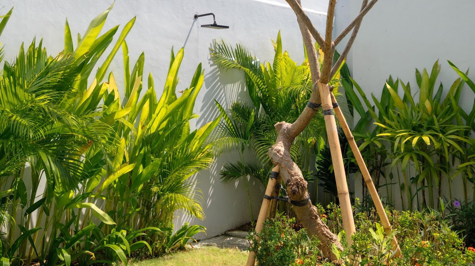 Villa Lange 3 - Image 28