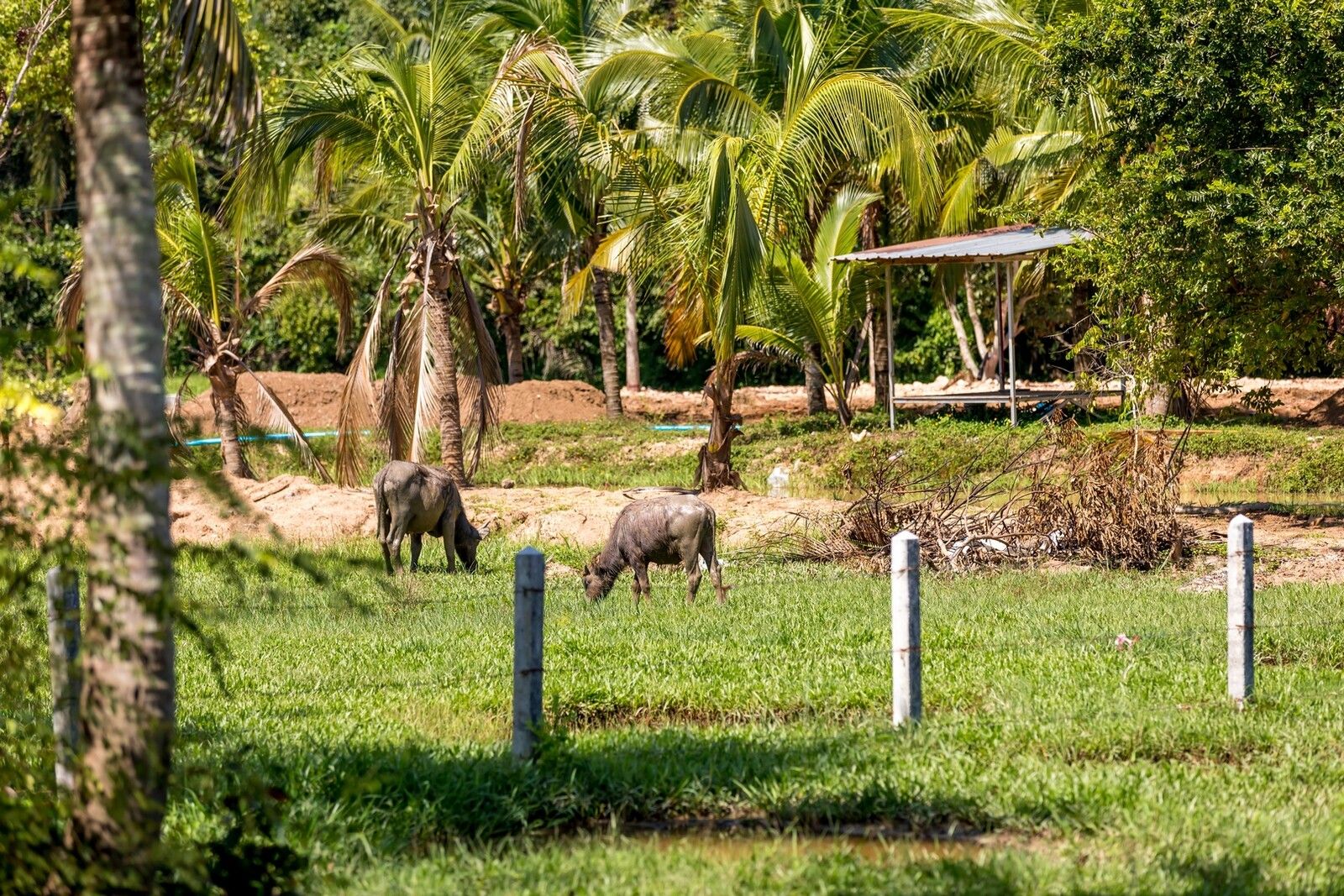 Villa Sereniwood 2 - Image 18